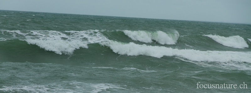 Ocean 8537.jpg - Tempête sur l'océan Atlantique (Bretagne, France, décembre 2011)